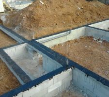 Vide sanitaire en cours