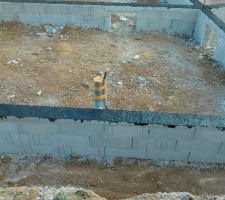 Vide sanitaire en cours