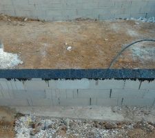 Vide sanitaire en cours