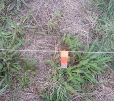 Début de l'implantation