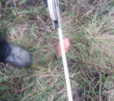 Début de l'implantation