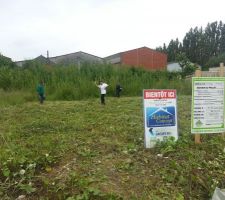 D&eacute;broussaillage en cours