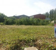 Terrain apr&egrave;s d&eacute;broussaillage