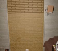 10 rangs de briques supléùentaires ce jour. j'ai préparé toutes les coupes et tracé tous les repères au mur.
Y a plus qu'à !! :-)