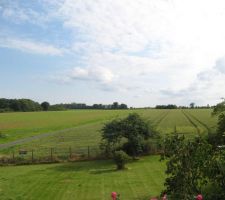 Terrain: vue sur les champs et les bois.
