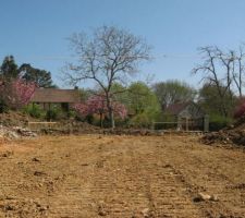 Terrassement et implantation de la construction