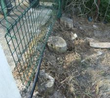 Future fondation nord de la buanderie souche limite de propri&eacute;te