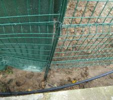 Terrassement &eacute;vacuation des souches &eacute;xistante