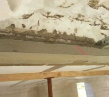 Linteau d&eacute;coffr&eacute; : nickel