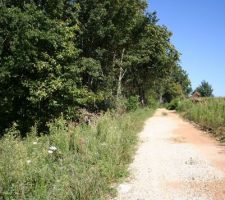 Notre terrain est à gauche de la petite route. Bois, ronces, arbres morts et quelques objets comme vieille gazinière, machine à laver !