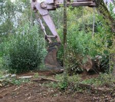 Dessouchage, 3 semaines de travail