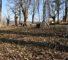 Implantation de la maison, donc création d'une clairière