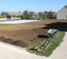 Prepa pour le gazon, arbres plantés