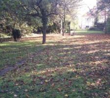 Aujourd'hui petit tour au terrain