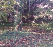 Aujourd'hui petit tour au terrain