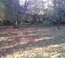 Aujourd'hui petit tour au terrain