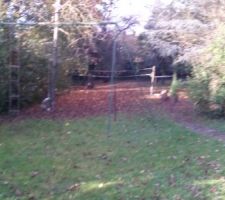 Aujourd'hui petit tour au terrain