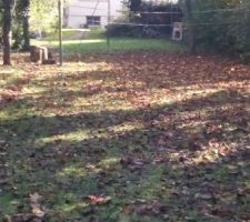 Aujourd'hui petit tour au terrain