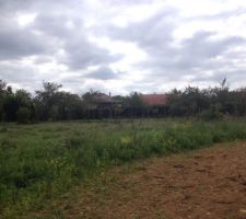 Vue sur le terrain depuis le nord ouest.