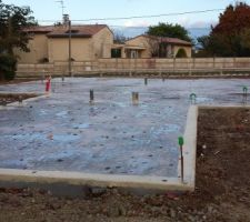 Application la protection anti termites