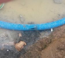 Visite sur le terrain samedi matin, on constate que le feu et le plastique ne font toujours pas bon ménage ;)