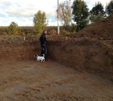 Un trou et un petit chien