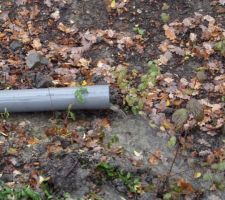 Drain au nord de la maison