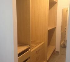 Fin montage dressing