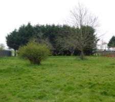 Le terrain tel qu'il est actuellement, ou presque (la photo date un peu, depuis, la maison sur la droite est construite)