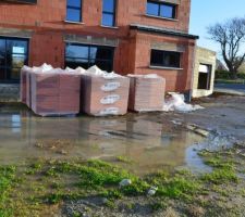 Les pieds dans l'eau!