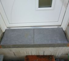 Carrelage marche extérieur porte d entrée