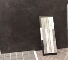 Choix pour salle de douche de la suite parentale