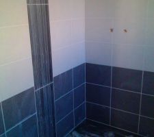 Faïence de la salle de bain