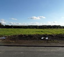 Le terrain sans la haie