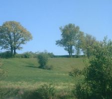 Vue que nous aurons depuis la terrasse coté sud-ouest