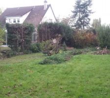 Le terrain apr&egrave;s une partie de l'&eacute;lagage de arbres du voisin.