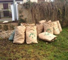 Pr&eacute;paration du terrain : enl&egrave;vement des branchages