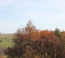 Vue sud-ouest depuis l'étage