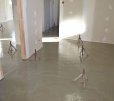 Dalle liquide