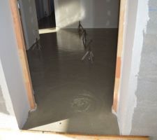 Dalle liquide