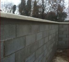 Chaperon sur le mur de clôture