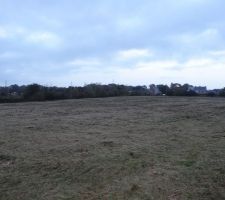 Le terrain nettoyé