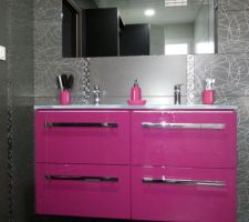 Salle de bain,bon d'accord il faut aimer, mais il n'est pas aussi rose qu'il en à l'air(oups il traîne quelque chose dessous, faute)