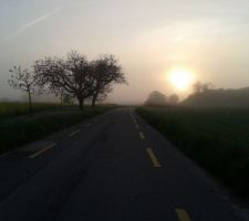 J'ai trouv&eacute; &ccedil;a joli, donc cadeau