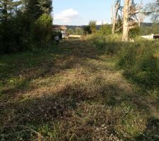 L'all&eacute;e permettant d'acc&eacute;der au terrain