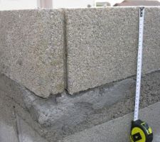 Planelle de rives (16 cm de hauteur) sur deux arases d'env. 8-10.5 cm de hauteur. Le bord sup&eacute;rieur de l'arase sup&eacute;rieure est compl&egrave;tement &eacute;cras&eacute; car celle-ci n'&eacute;tait pas encore assez dure.