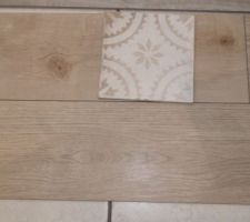 Carrelage imitation parquet pour la bureau au RDC et la SDB