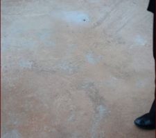Tours percés dans le plancher afin d'évacuer l'eau stagnante vers le vide sanitaire