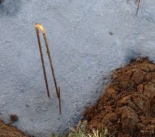 Petites fissures dans les fondations.