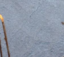 Petites fissures dans les fondations.
